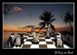 Chess II. Battle of the horses. by Dray Van Beeck 